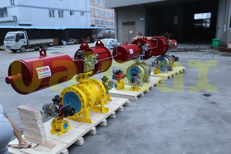 Trunnion Ball Valve with Rotork Actuator