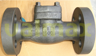 Check Valve, 1500 LB, 1 Inch, Swing Type, Bolted Cap
