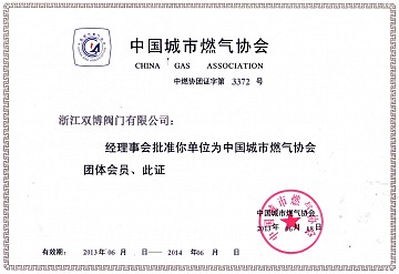 China Gas Association Membership