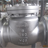 Check Valves