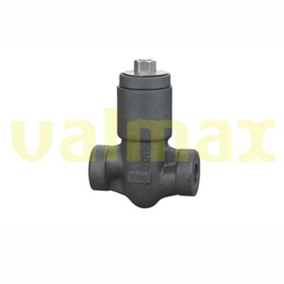 Check Valve, 900 LB, 1/2 Inch, RF, Pressure Seal Cap