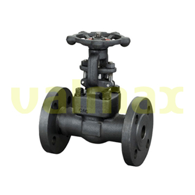 Gate Valve, 300 LB, RF, 1/2 Inch, Rising Stem, OS&Y