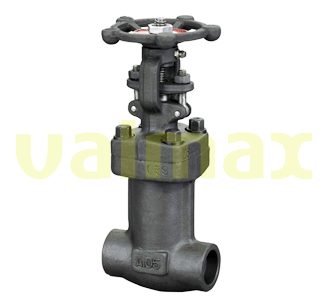 Globe Valve, 800 LB, 1-1/2 Inch, OS&Y, Handwheel Op