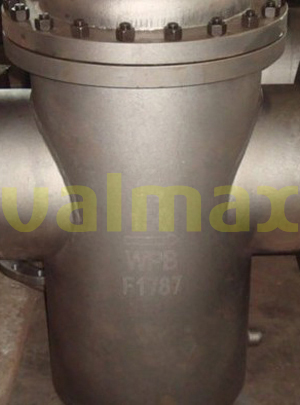 Strainer, 150 LB, 12 Inch, RF, Flange End, Basket Type