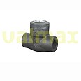 Check Valve, 600 LB, 1 Inch, RF, Swing Type, welded Cap